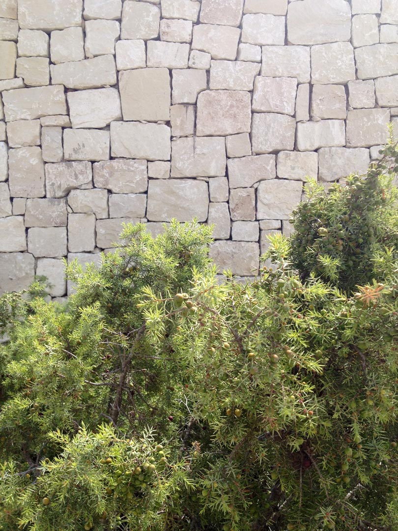 Casa de Piedra — imagen 2