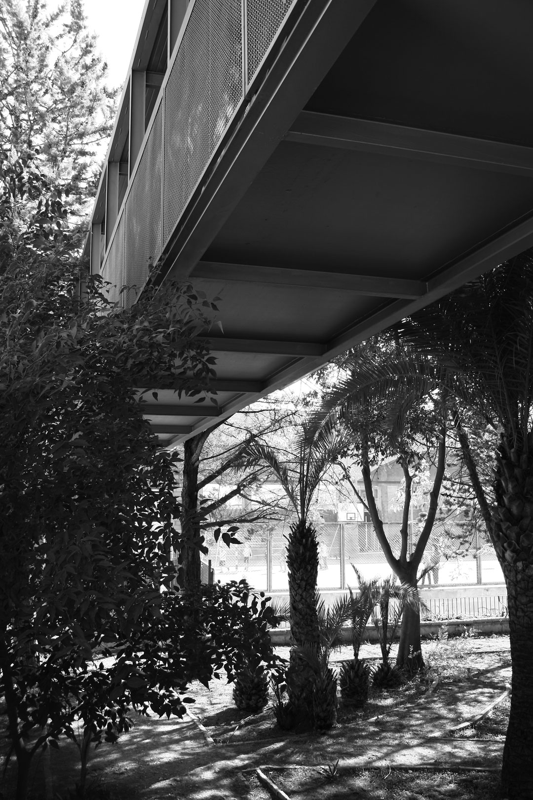 CEIP El Romeral